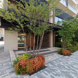 樹木の緑とシックな配色で邸宅らしい優雅な趣のエントランスが入居者を迎え入れます。外観