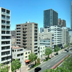 清澄通りの街路樹など緑を望め、開放感のあるお部屋です。
