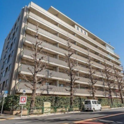 【仲介手数料無料】ヒルズ目白台 【仲介手数料無料】ヒルズ目白台