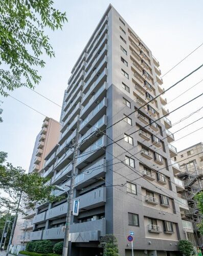 【仲介手数料無料】 マイキャッスルリバーフロントタワー 銀座東 3階南東 3LDK
