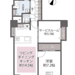 1LDK+S　南向き住戸です間取