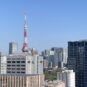 洋室 LDKからの眺望　東京タワビュー