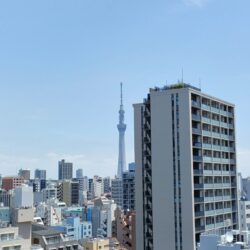 共用部からの眺望（12階非常階段から）スカイツリーが望めます