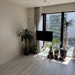 ダイレクトウィンドウで開放感のあるリビング居間