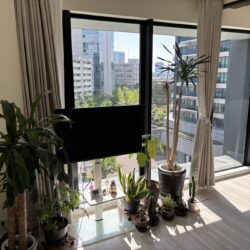 ダイレクトウィンドウで開放感のあるリビング居間