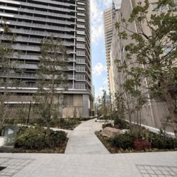 住戸の東方向は緑豊かな通り抜けのできる散策路とビオガーデンの植栽ビュー　現地（2026年3月）撮影外観