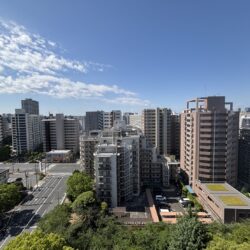 13階、周辺に高層物件がなく、眺望開けています