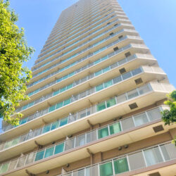 【仲介手数料無料】ライオンズタワー池袋