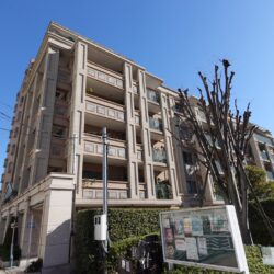 総戸数20戸の豊洲では貴重な低層レジデンスです。