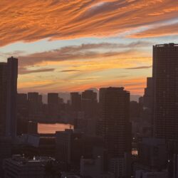西向き×富士山・湾岸マンション群を望む眺望（夕方）
