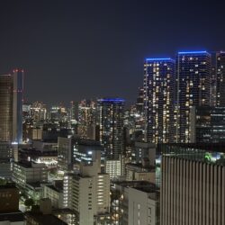 西向き×湾岸マンション群を望む眺望（夜景）