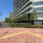外観 エントランス前は綺麗に舗装されており、安心して歩行できます