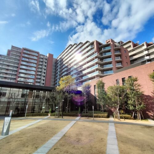 【仲介手数料30％オフ】 シティテラス東陽町12階