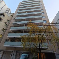【仲介手数料無料】パークハウス平河町