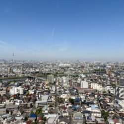 南西側より東京スカイツリーを望む眺望