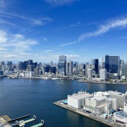 バルコニーから東京タワーと富士山を望む眺望