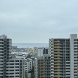 リビングからの眺望