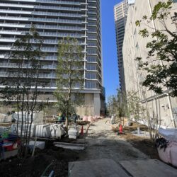 住戸の東方向は緑豊かな通り抜けのできる散策路とビオガーデンの植栽ビュー　現地（2026年2月）撮影外観