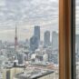 リビングから東京タワーを望む眺望