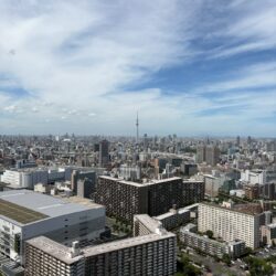 41階からの眺望