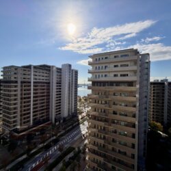 晴海ふ頭公園方面を望む眺望