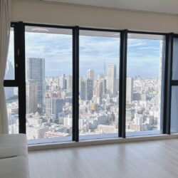 リビングダイレクトウィンドウよりスカイツリーを望む居間