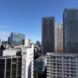 東京タワーを望む眺望